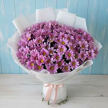 Букет цветов из:  Хризантемы в Алуште