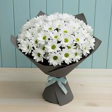 Букет белые хризантемы в Алуште Букет цветов из:  Хризантемы в Алуште